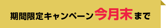 期間限定キャンペーン6/30まで
